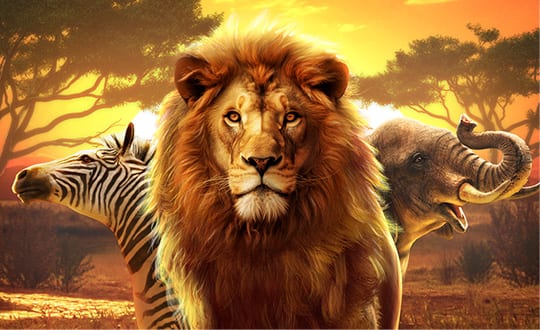 Safari Wilds Screenshot