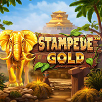 BetSoft Stampede Gold Game at Fortune Tiger Jackpot