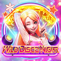 Wild Disco Night