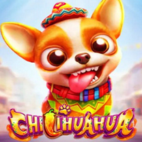 Chilihuahua