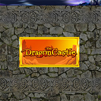 The Dragon Castle