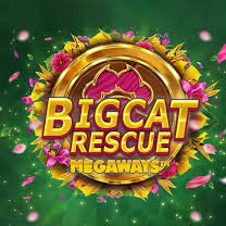 RT Big Cat Rescue Megaways