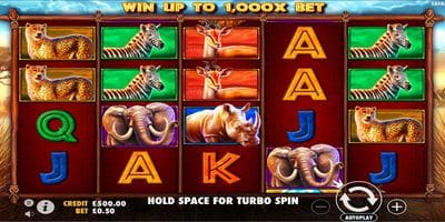 Safari Rampage Screenshot